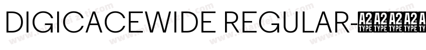DIGICACEWIDE REGULAR字体转换